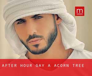 After Hour Gay a Acorn Tree