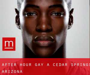 After Hour Gay a Cedar Springs (Arizona)