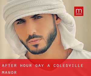 After Hour Gay a Colesville Manor