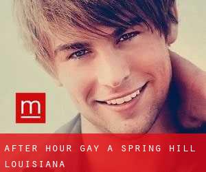 After Hour Gay a Spring Hill (Louisiana)