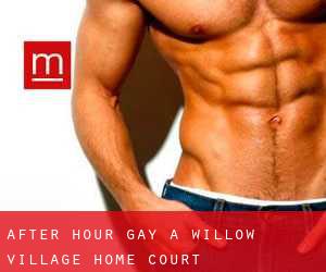 After Hour Gay a Willow Village Home Court