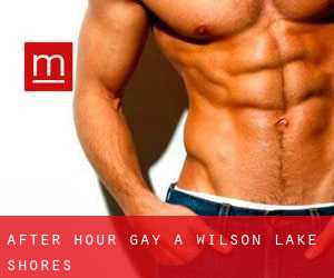 After Hour Gay a Wilson Lake Shores