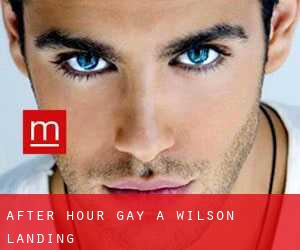 After Hour Gay a Wilson Landing