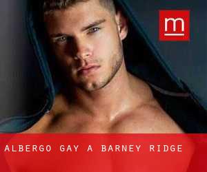 Albergo Gay a Barney Ridge