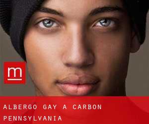 Albergo Gay a Carbon (Pennsylvania)