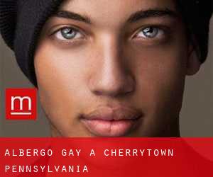 Albergo Gay a Cherrytown (Pennsylvania)