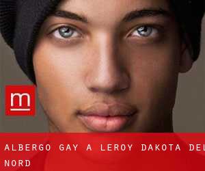 Albergo Gay a Leroy (Dakota del Nord)