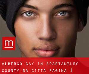 Albergo Gay in Spartanburg County da città - pagina 1