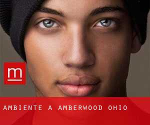 Ambiente a Amberwood (Ohio)