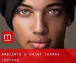 Ambiente a Saint Thomas (Indiana)