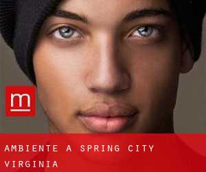 Ambiente a Spring City (Virginia)