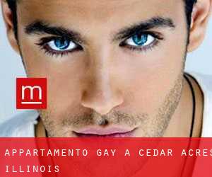 Appartamento Gay a Cedar Acres (Illinois)