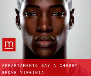 Appartamento Gay a Cherry Grove (Virginia)