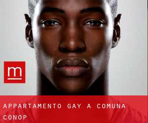 Appartamento Gay a Comuna Conop
