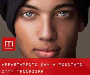 Appartamento Gay a Mountain City (Tennessee)