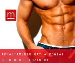 Appartamento Gay a Powiat bieruńsko-lędziński