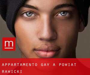 Appartamento Gay a Powiat rawicki