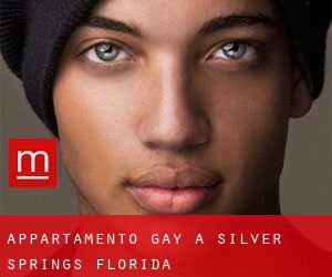 Appartamento Gay a Silver Springs (Florida)