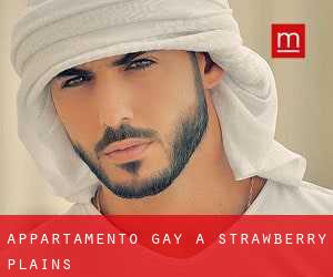 Appartamento Gay a Strawberry Plains