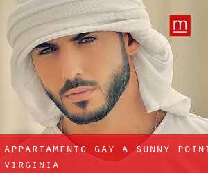 Appartamento Gay a Sunny Point (Virginia)