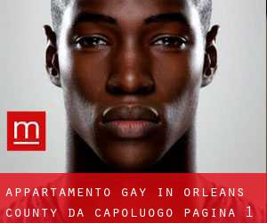 Appartamento Gay in Orleans County da capoluogo - pagina 1
