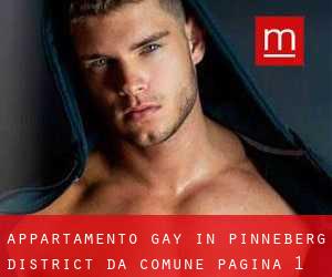 Appartamento Gay in Pinneberg District da comune - pagina 1