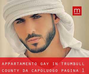 Appartamento Gay in Trumbull County da capoluogo - pagina 1