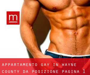 Appartamento Gay in Wayne County da posizione - pagina 1