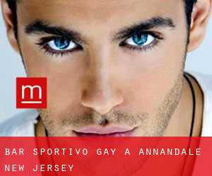 Bar sportivo Gay a Annandale (New Jersey)