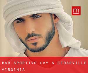 Bar sportivo Gay a Cedarville (Virginia)