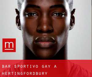 Bar sportivo Gay a Hertingfordbury