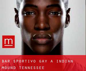 Bar sportivo Gay a Indian Mound (Tennessee)