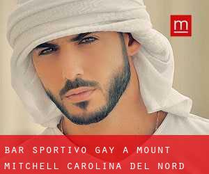 Bar sportivo Gay a Mount Mitchell (Carolina del Nord)