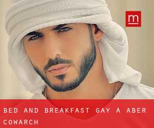 Bed and Breakfast Gay a Aber Cowarch