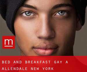 Bed and Breakfast Gay a Allendale (New York)