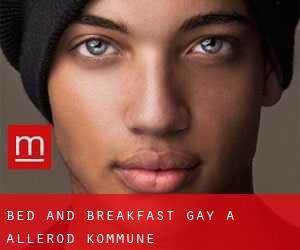 Bed and Breakfast Gay a Allerød Kommune