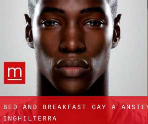 Bed and Breakfast Gay a Anstey (Inghilterra)