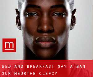 Bed and Breakfast Gay a Ban-sur-Meurthe-Clefcy
