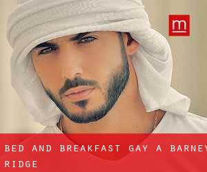 Bed and Breakfast Gay a Barney Ridge