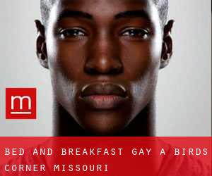 Bed and Breakfast Gay a Birds Corner (Missouri)