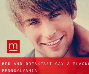 Bed and Breakfast Gay a Blacks (Pennsylvania)