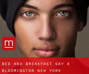 Bed and Breakfast Gay a Bloomington (New York)