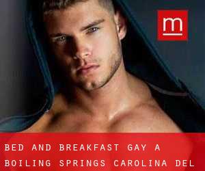 Bed and Breakfast Gay a Boiling Springs (Carolina del Sud)