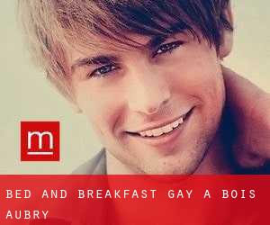 Bed and Breakfast Gay a Bois-Aubry