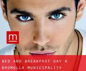 Bed and Breakfast Gay a Bromölla Municipality