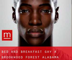 Bed and Breakfast Gay a Brookwood Forest (Alabama)