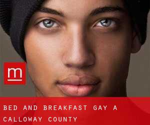 Bed and Breakfast Gay a Calloway County