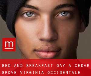 Bed and Breakfast Gay a Cedar Grove (Virginia Occidentale)