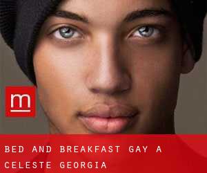 Bed and Breakfast Gay a Celeste (Georgia)