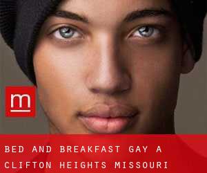 Bed and Breakfast Gay a Clifton Heights (Missouri)